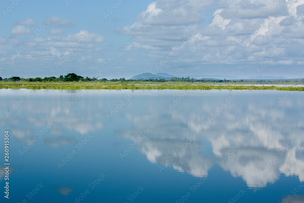 Fototapeta premium Cloud reflecting swamp