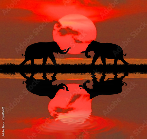 silhouette elephants in the landscape on blurry sunset. © rathchapon