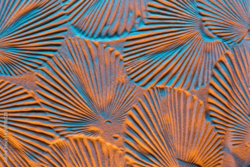 top view of textured backdrop with leaf prints on sand and color filter