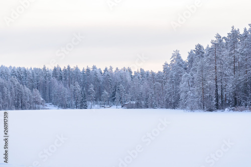 The forest on the ice lake has covered with heavy snow and sky in winter season at Lapland, Finland. © Joeahead