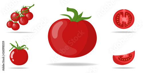 Set of Fresh Red Tomatoes isolated on white background. Branch, Whole, Half and Slice Tomato Icons for Market, Recipe Design. Organic Food. Cartoon Style. Vector illustration for Design, Web.