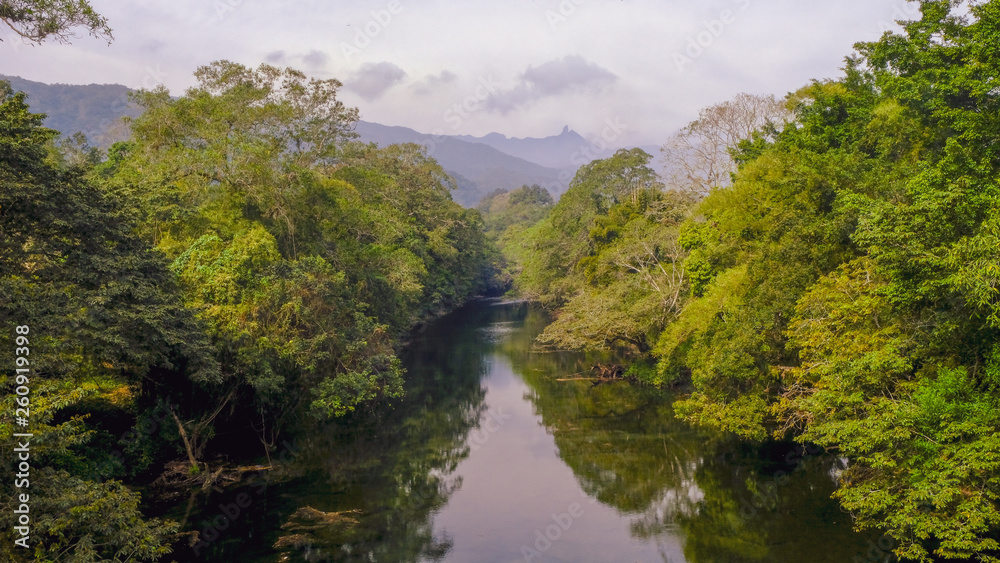 Aerial view of river in tropical green forest with mountains in background