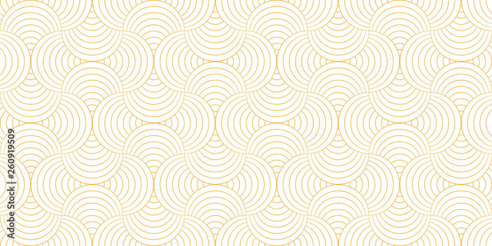 Pattern geometric line circle abstract seamless orange line on white background. Summer vector design.