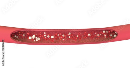 3D animation of a bloodstream with red cell white cell and platelet