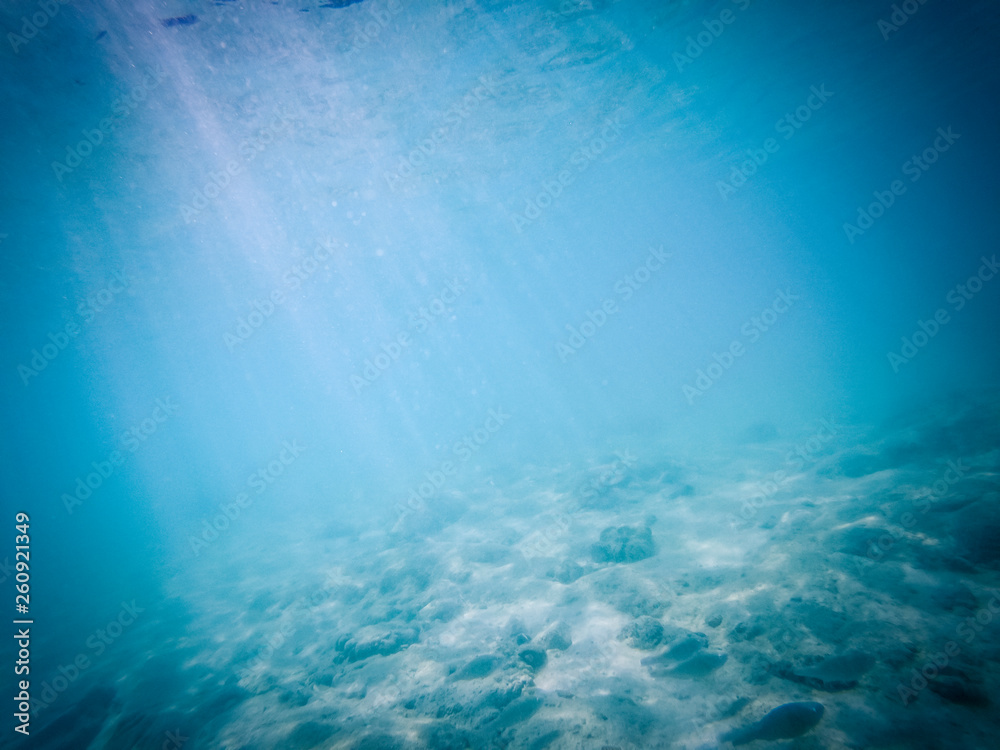 Naklejka premium tropical blue ocean underwater background - luxury nature pattern