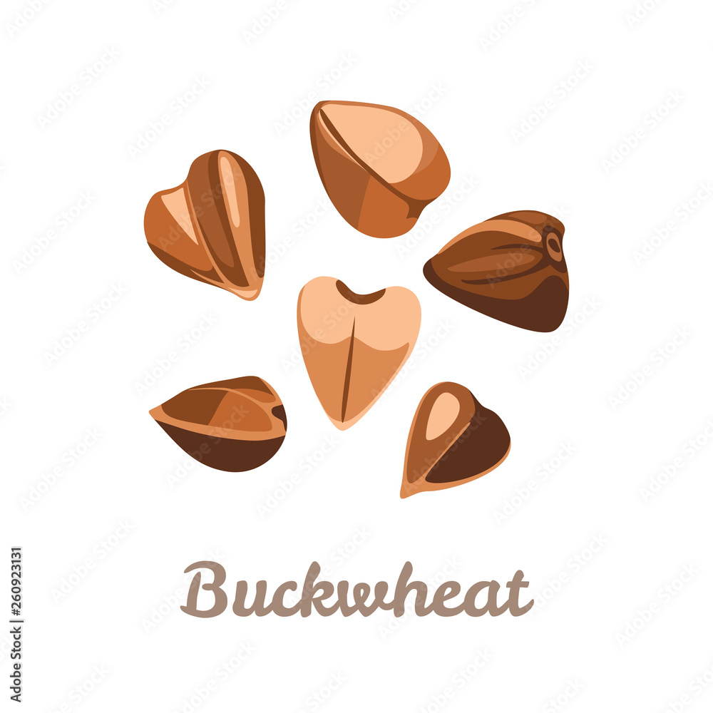 Buckwheat grain icons isolated on white background. Vector illustration of cereal in cartoon simple flat style.