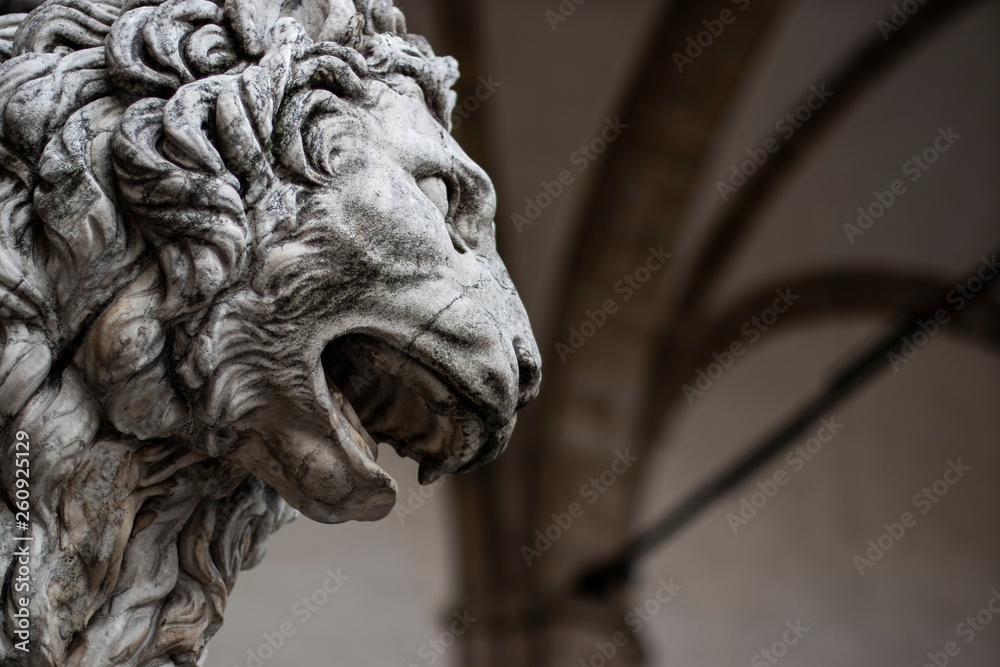 Stone lion sculpture head close up in Firenze, Italy