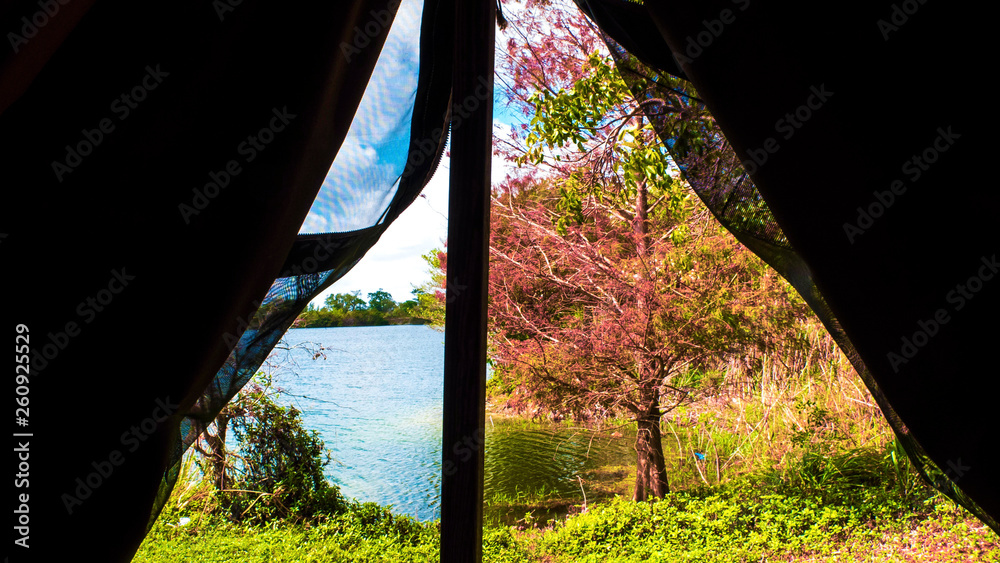 Lake Side View From The Tent Into a Lake With Foliage