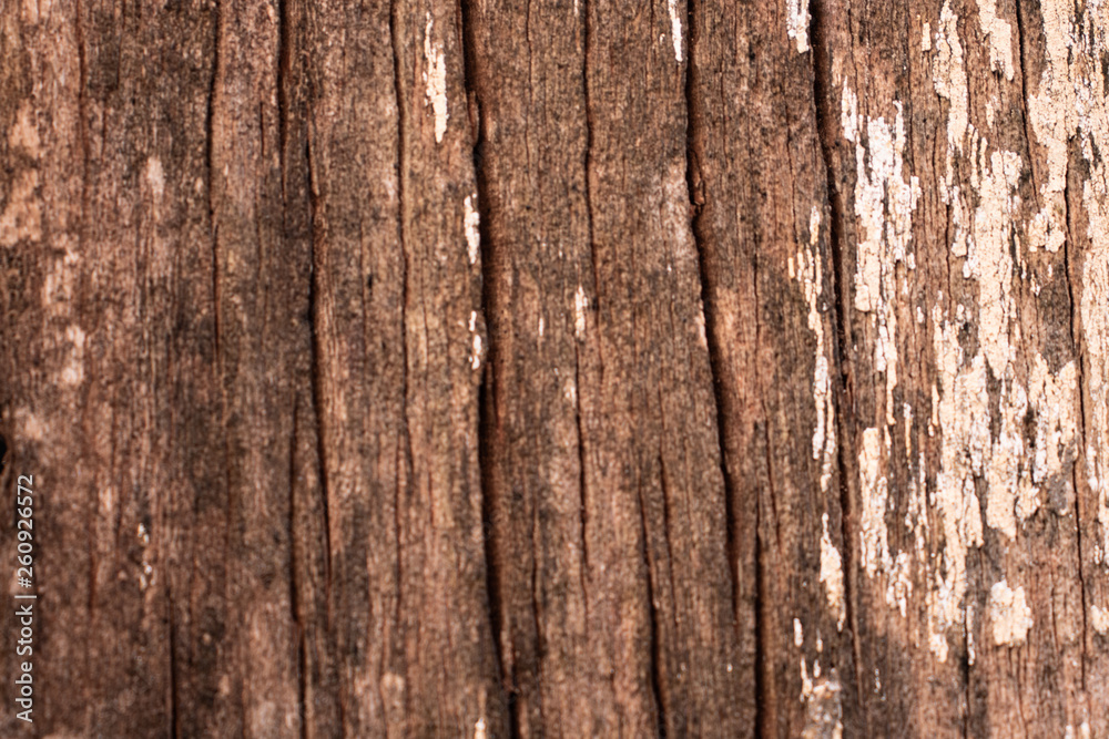 textura de madeira com rachaduras