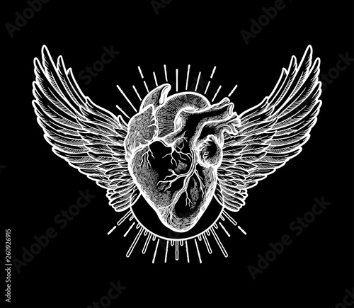 Decorative naturalistic heart with wings.