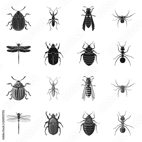 Vector design of insect and fly symbol. Collection of insect and element stock symbol for web. © Svitlana