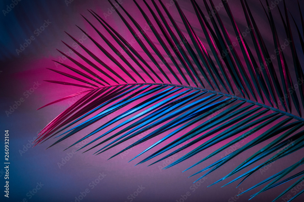 Obraz premium Tropical leaves in vibrant bold gradient holographic neon colors
