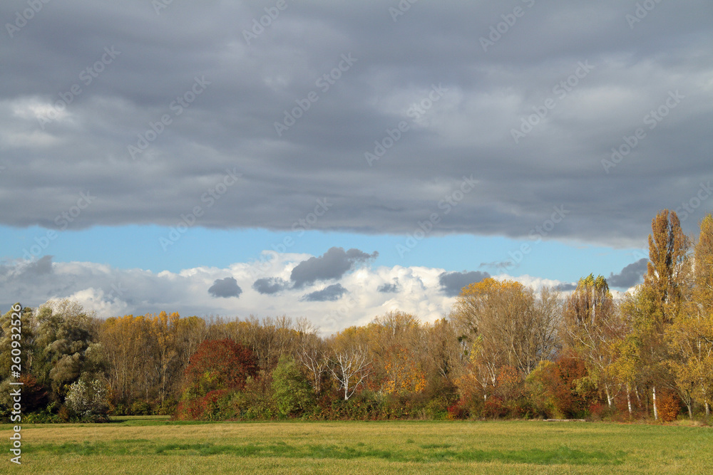 Herbststimmung