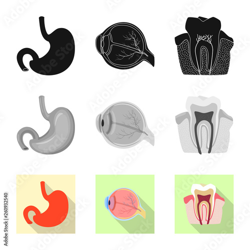 Vector design of body and human icon. Set of body and medical vector icon for stock.