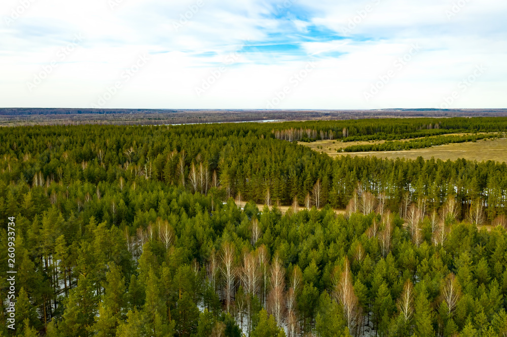 Beautiful spring forest at sunset. Drone's top view