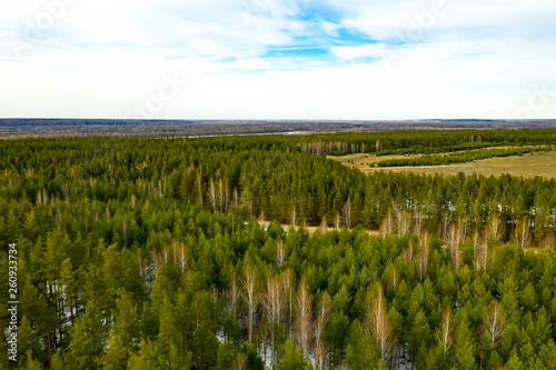 Beautiful spring forest at sunset. Drone s top view