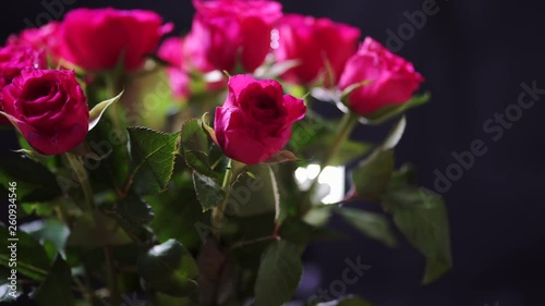 Wallpaper Mural Rotating Bunch of Pink Roses Flower with Wet Petals and Leaves Torontodigital.ca