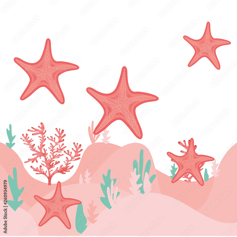 starfish pattern isolated icon starfish pattern isolated icon