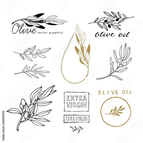 Hand Drawing Sketch of Olive Branches with Olives. Design Elements for Olive Oil Packaging