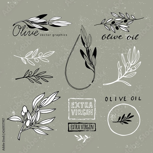 Set of Hand Drawn Olive Branches. Vector Plant Shapes. Illustration for Extra Virgin Olive Oil Packaging