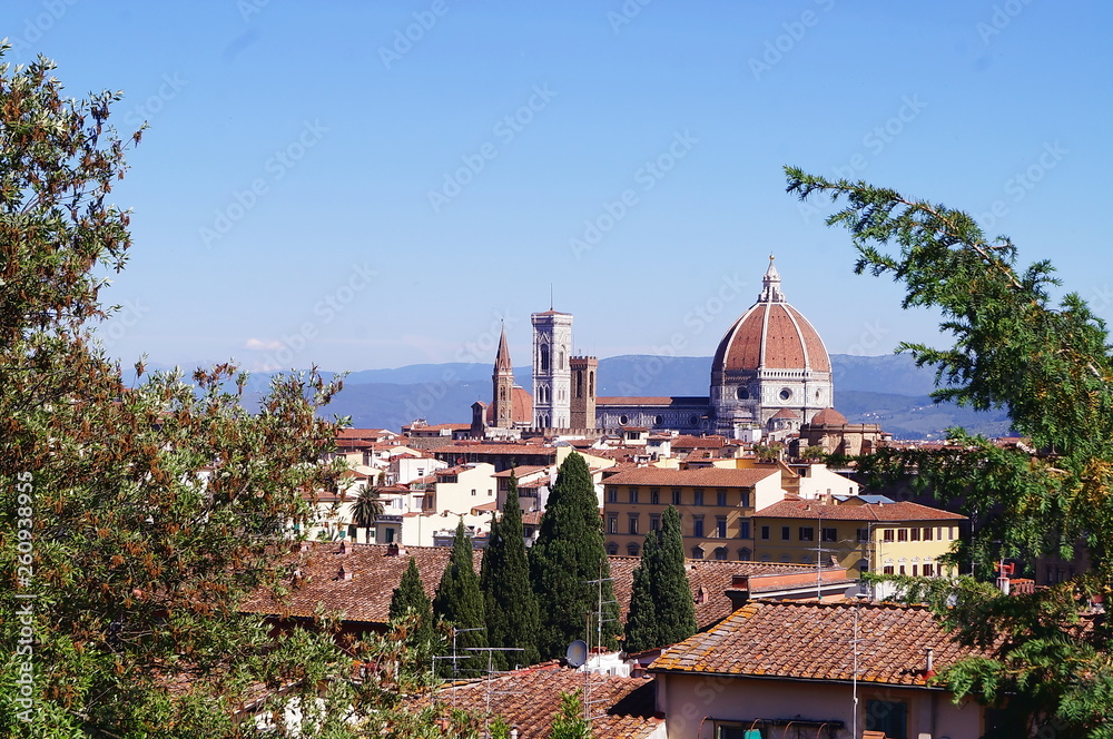 View of Florence from Saint Nicholas ramps, Italy