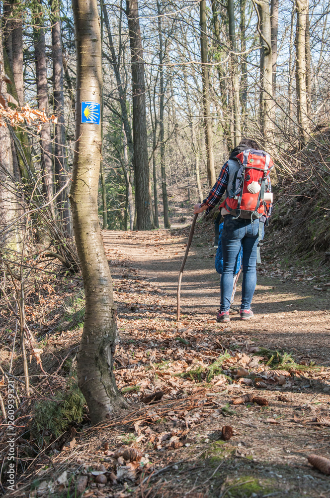 Pilgrim on the trail of St. James, Pilgrim, Wanderer with a backpack and a shell Pilgrim on the trail of St. James, Pilgrim, Wanderer with a backpack and a shell