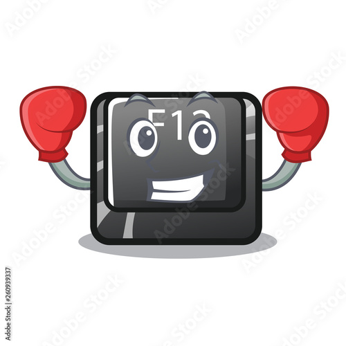 Boxing button f12 on a keyboard mascot photo