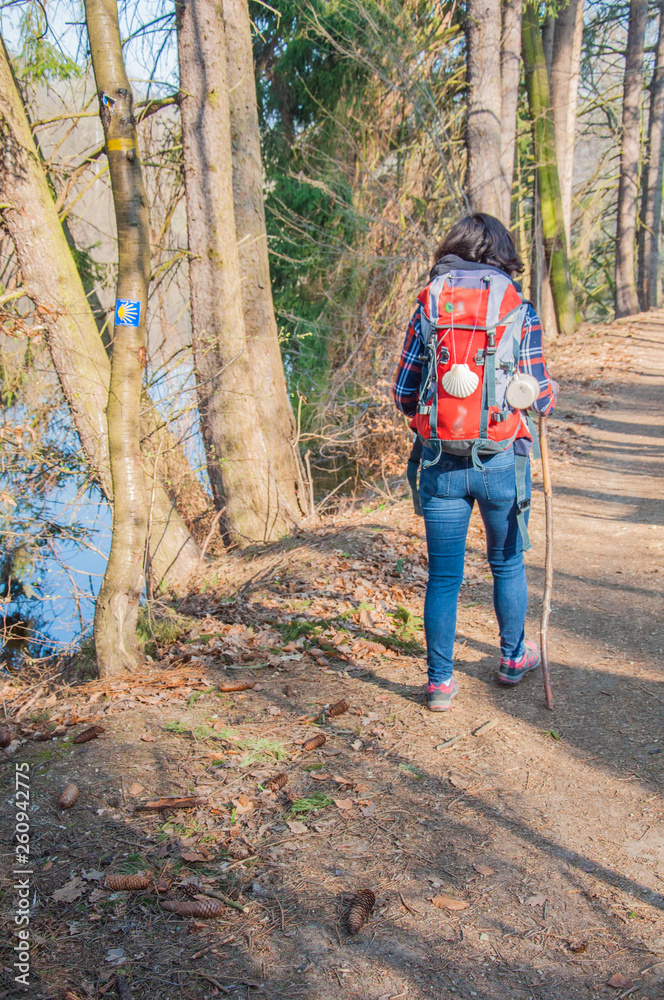 Naklejka premium Pilgrim on the trail of St. James, Pilgrim, Wanderer with a backpack and a shell