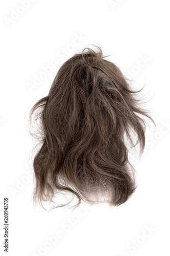 Very disheveled brown hair isolated on white background. Bad hair day clipart. Back view