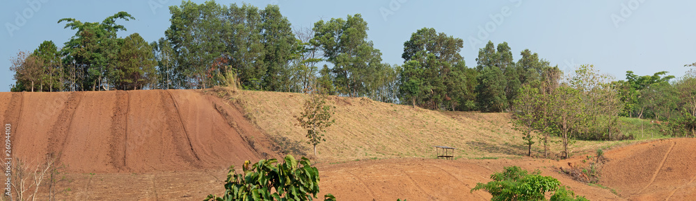 Panoramic View of Rural Agriculture in Thailand