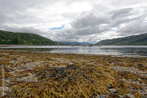 Schottland - Ullapool - Loch Broom photo