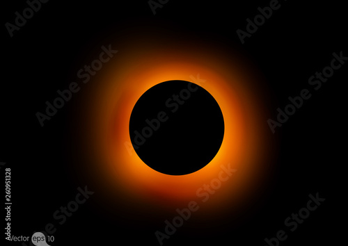 Black Hole Vector