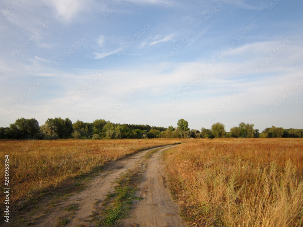 Summer or early autumn scene with sandy road going through the meadow with dry herbs.