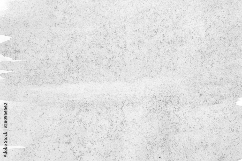 Fototapeta premium abstract painted black and white watercolor background