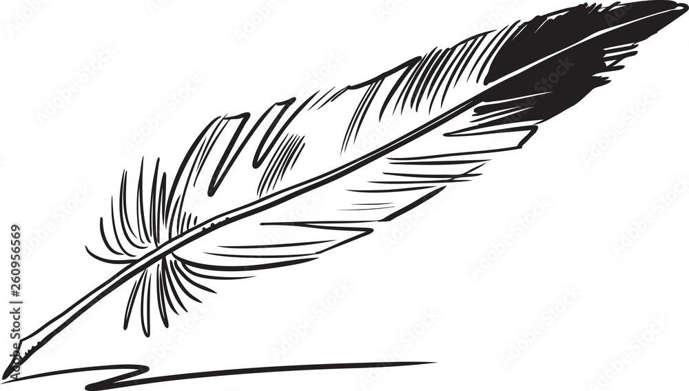 Obraz premium Hand drawn feather