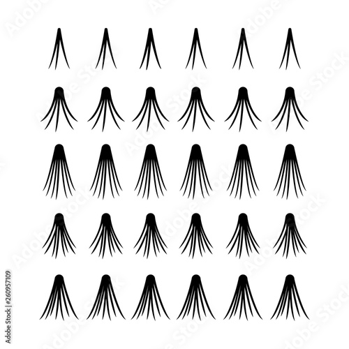 Black Eyelashes set isolated on white background.