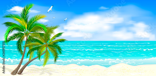 Tropical seascape with palm trees. Sea tropical landscape. Sandy beach with palm trees. Seacoast with palm trees, blue sky and white clouds. Palm trees against the background of the sea, sky and cloud