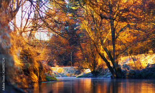 River nature in morning sunlight. Belarus river landscape in october with colorful trees