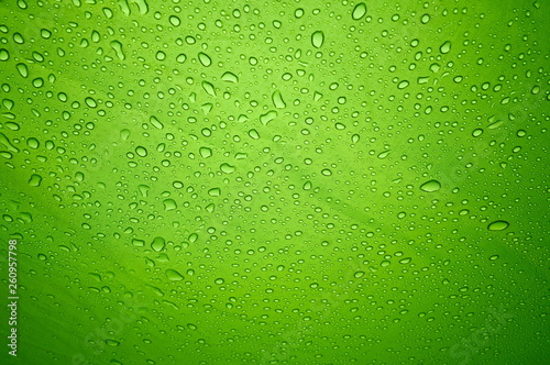 Rain drops on the solid abstract green background. Bright shiny pattern of raindrops