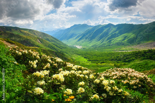 Beautiful view on green mountain valley in sunlight in Svaneti, Georgia