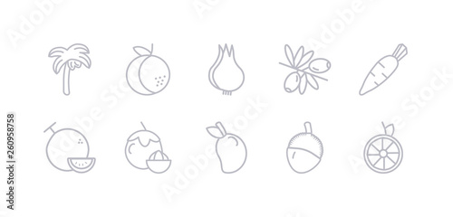 simple gray 10 vector icons set such as lime, lychee, mango, mangosteen, daikon, melon, olive. editable vector icon pack © CoolVectorStock