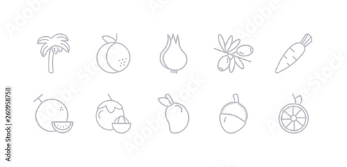 simple gray 10 vector icons set such as lime  lychee  mango  mangosteen  daikon  melon  olive. editable vector icon pack