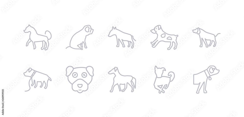 Simple Gray 10 Vector Icons Set Such As Border Collie Dog Borzoi Dog Boston Terrier Dog Boxer Bracco Italiano Brittany Bull Terrier Editable Vector Icon Pack Stock Vector Adobe Stock