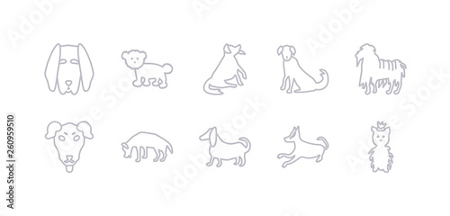 simple gray 10 vector icons set such as basenji dog, basset hound dog, beagle dog, beauceron bergamasco berger picard bernese mountain editable vector icon pack