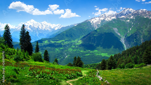 Alpine green valley landscape. Summer day in Alps