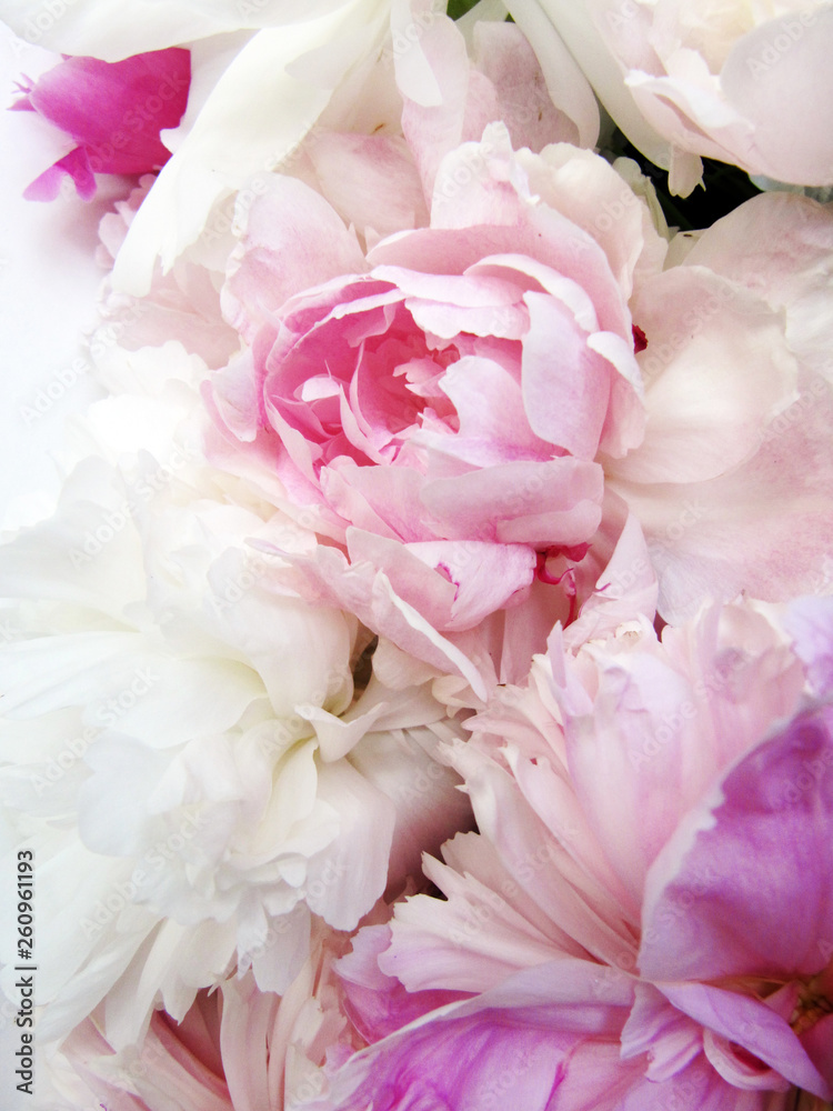Fototapeta Makiety różowe i białe kwiaty na białym stole.