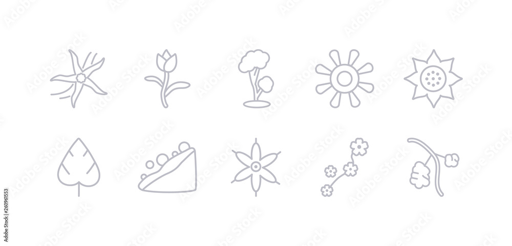 simple gray 10 vector icons set such as rowan, sakura, sisyrinchium, snowslide, spear shaped, sunrise, sunset. editable vector icon pack simple gray 10 vector icons set such as rowan, sakura, sisyrinchium, snowslide, spear shaped, sunrise, sunset. editable vector icon pack
