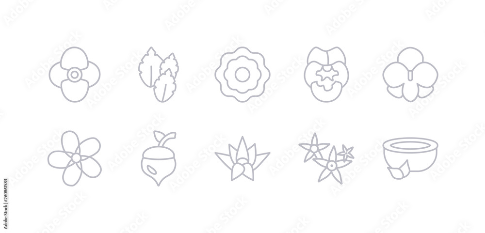 simple gray 10 vector icons set such as natural medical pills, neroli, nymphea, oak, oleander, orchid, pansy. editable vector icon pack simple gray 10 vector icons set such as natural medical pills, neroli, nymphea, oak, oleander, orchid, pansy. editable vector icon pack