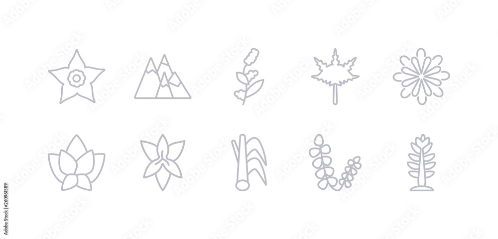 simple gray 10 vector icons set such as larch, lavender, lemongrass, lily, lotus, magnolia, maple. editable vector icon pack