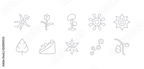 simple gray 10 vector icons set such as rowan  sakura  sisyrinchium  snowslide  spear shaped  sunrise  sunset. editable vector icon pack